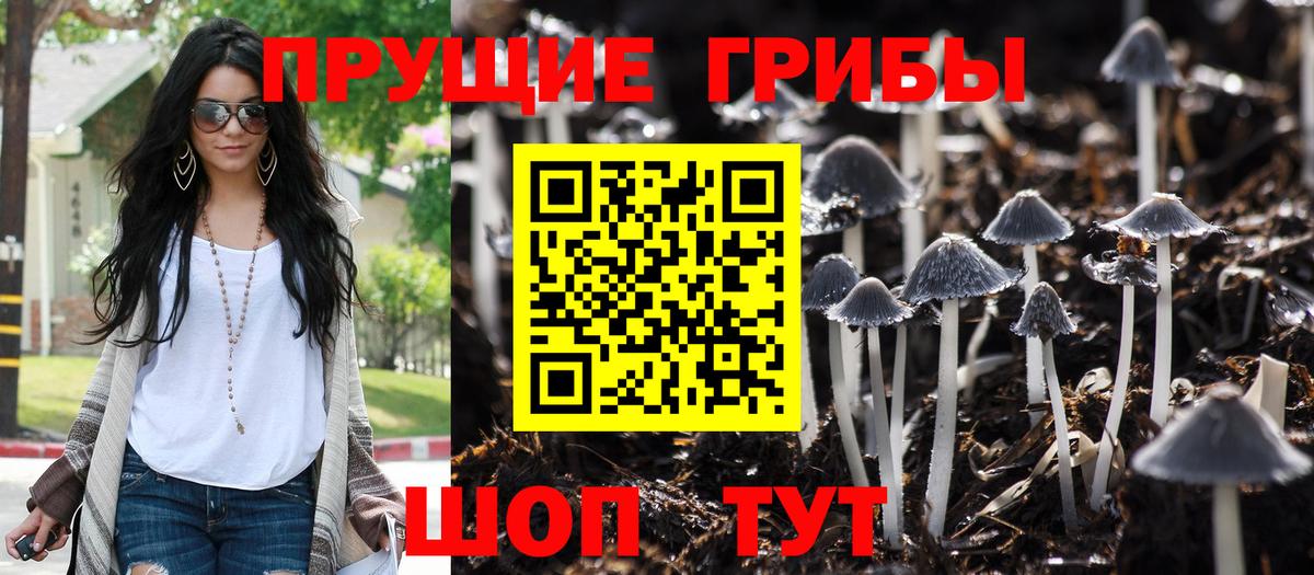 Галлюциногенные грибы Magic Shrooms  Вход с VPN  наркошоп  Гусь-Хрустальный 
